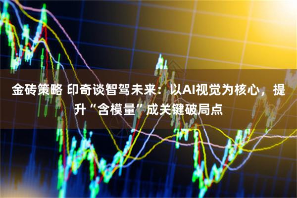 金砖策略 印奇谈智驾未来：以AI视觉为核心，提升“含模量”成关键破局点
